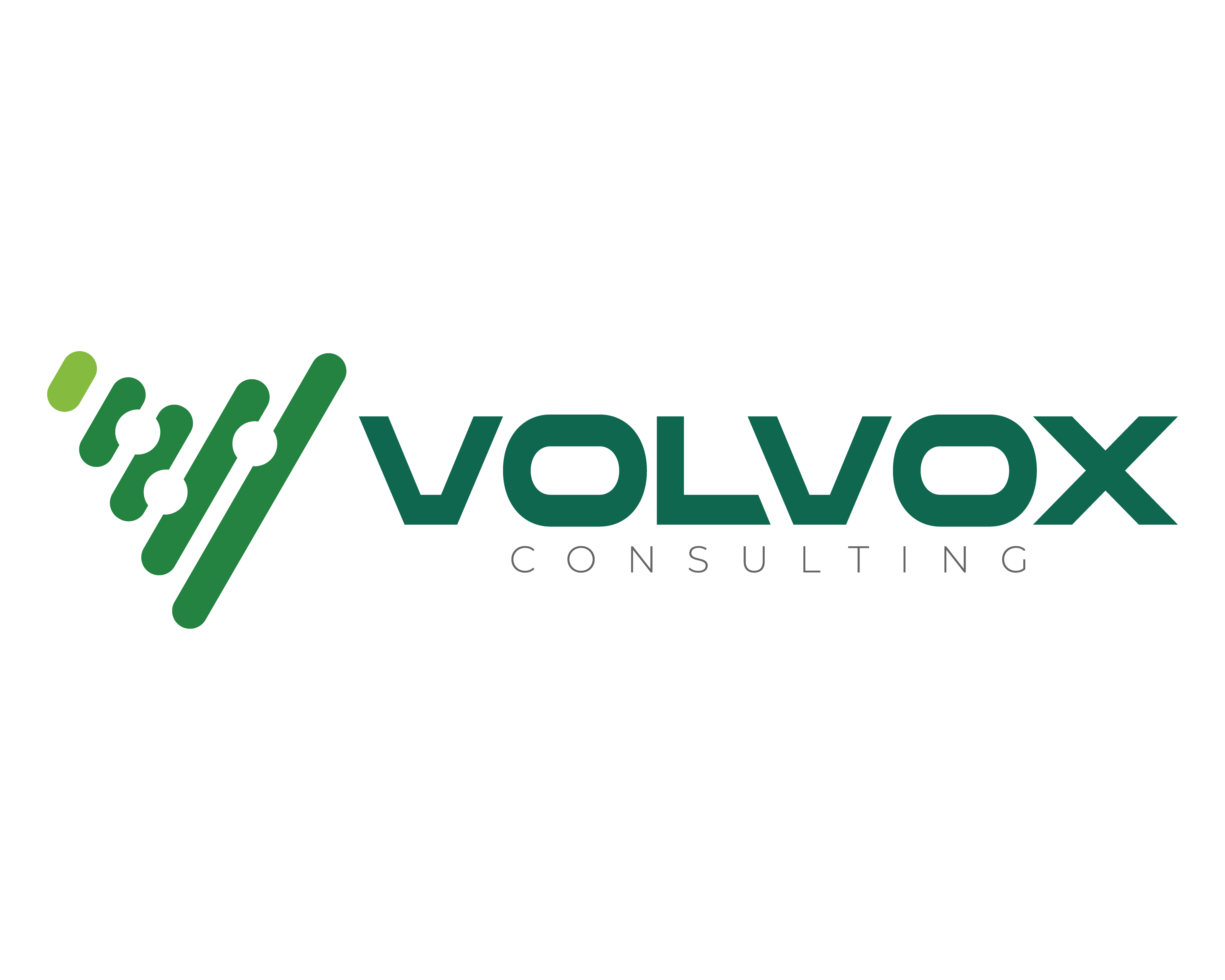 Volvox Consulting